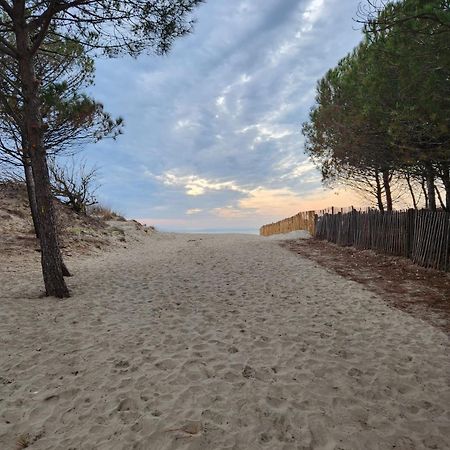 Le Peche Mignon - Appart 1 - Locationlatamarissiere Agde Exterior foto